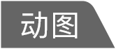 尼斯沙拉